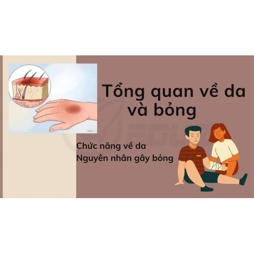 1. Tổng quan về bỏng